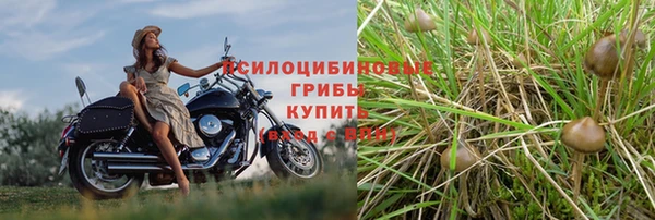марихуана Красноперекопск