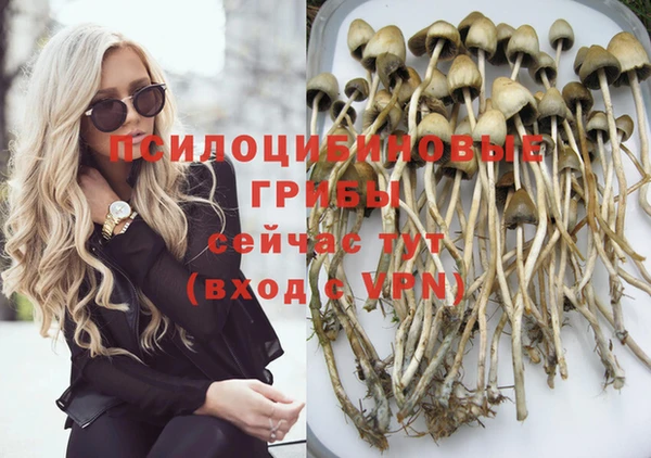 винт Каменск-Шахтинский