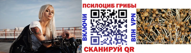 Галлюциногенные грибы Magic Shrooms  Купить закладки  Бугуруслан 